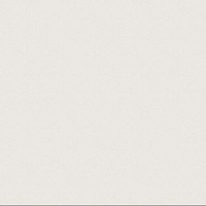 Meet your Posher, Mya